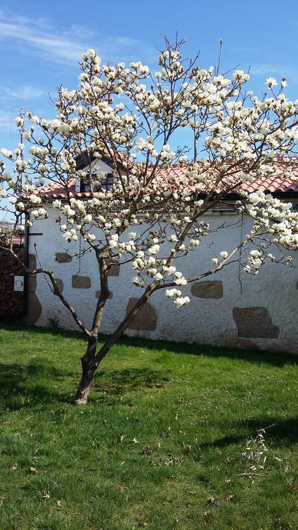 מלון וילה ריאל Casa Da Quinta De S. Martinho מראה חיצוני תמונה